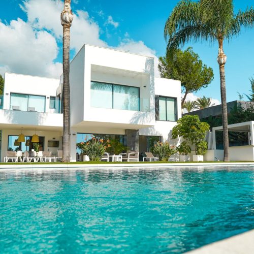 pexels-joachim-hoholm-371880152-29453302